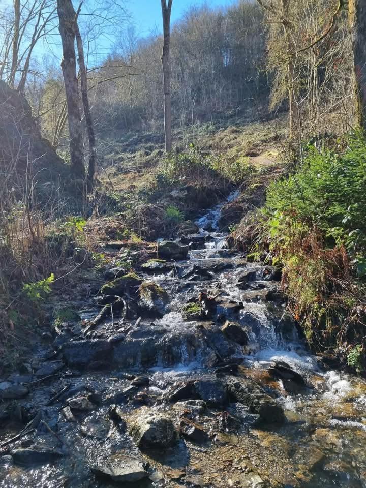 Au Vieux Lavoir Alle Exterior foto